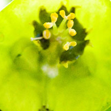 免费ddos平台攻击